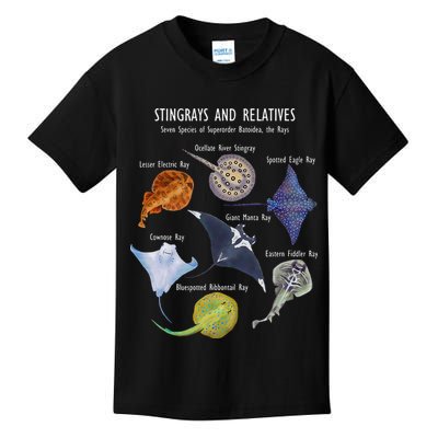 Stingray Species Manta Ray River Stingray and More Kids T-Shirt