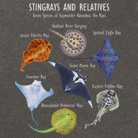 Stingray Species Manta Ray River Stingray and More Cotton Canvas Backpack