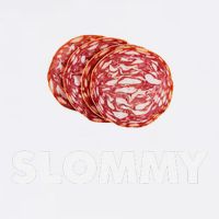 Slommy Salami Meme Oddly Specific Funny Memes Internet Memes Garment-Dyed Sweatshirt