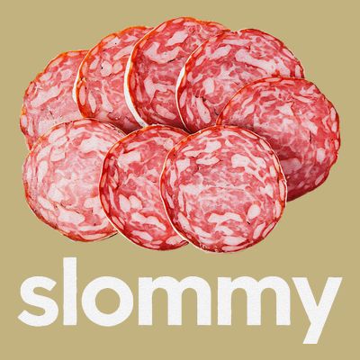 Slommy Salami Meme Oddly Specific Funny Memes Internet Memes T-Shirt