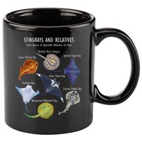 Stingray Species Manta Ray River Stingray And More 11oz C Handle Ceramic Mug