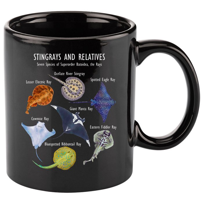 Stingray Species Manta Ray River Stingray And More 11oz C Handle Ceramic Mug