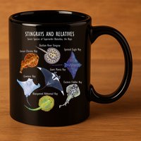 Stingray Species Manta Ray River Stingray And More 11oz C Handle Ceramic Mug