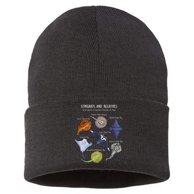 Stingray Species Manta Ray River Stingray And More Sustainable Knit Beanie