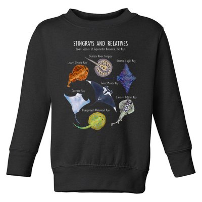 Stingray Species Manta Ray River Stingray And More Toddler Sweatshirt