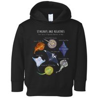 Stingray Species Manta Ray River Stingray And More Toddler Hoodie