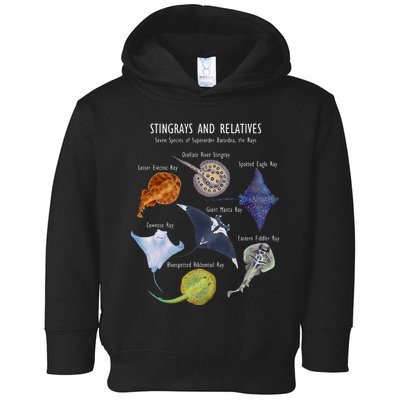 Stingray Species Manta Ray River Stingray And More Toddler Hoodie