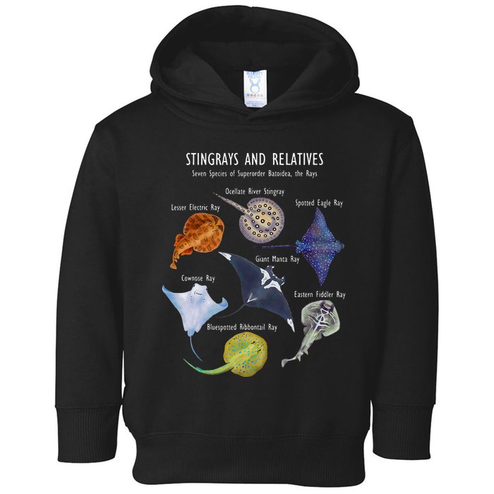 Stingray Species Manta Ray River Stingray And More Toddler Hoodie