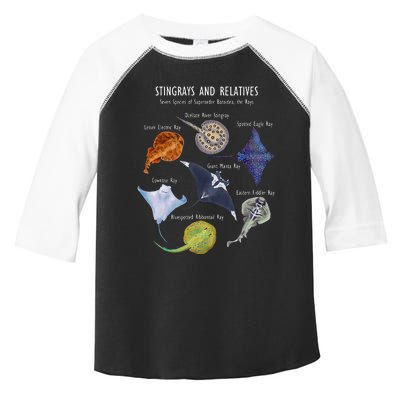 Stingray Species Manta Ray River Stingray And More Toddler Fine Jersey T-Shirt