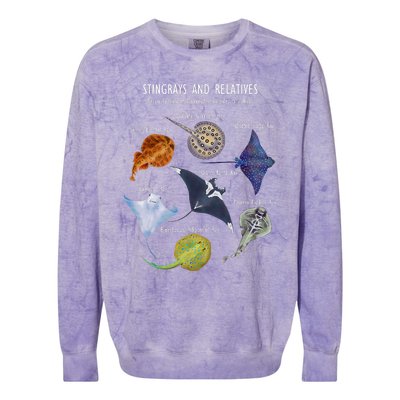 Stingray Species Manta Ray River Stingray And More Colorblast Crewneck Sweatshirt