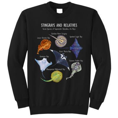 Stingray Species Manta Ray River Stingray And More Sweatshirt