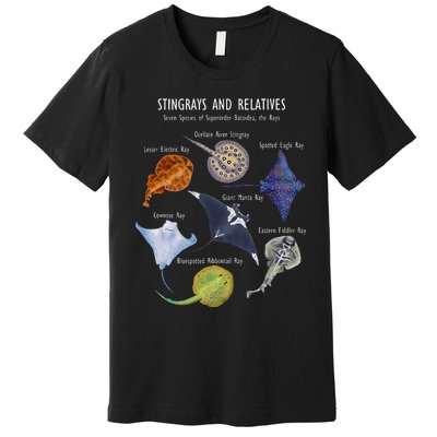 Stingray Species Manta Ray River Stingray And More Premium T-Shirt