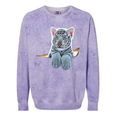 Schim Schimmel Original Artwork, White Tiger Cub Colorblast Crewneck Sweatshirt