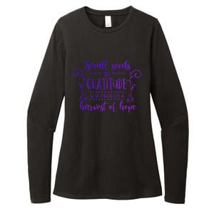 Small Seeds Of Gratitude Will Produce A Harvest Funny Design Womens CVC Long Sleeve Shirt