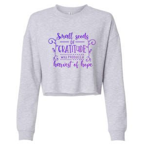 Small Seeds Of Gratitude Will Produce A Harvest Funny Design Cropped Pullover Crew