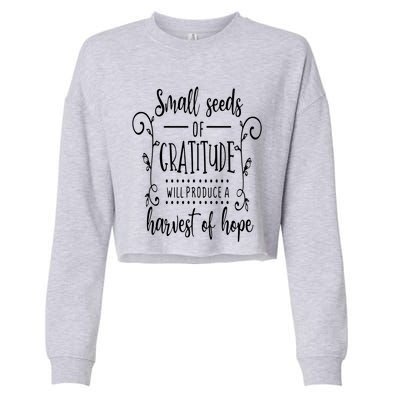 Small Seeds Of Gratitude Cropped Pullover Crew