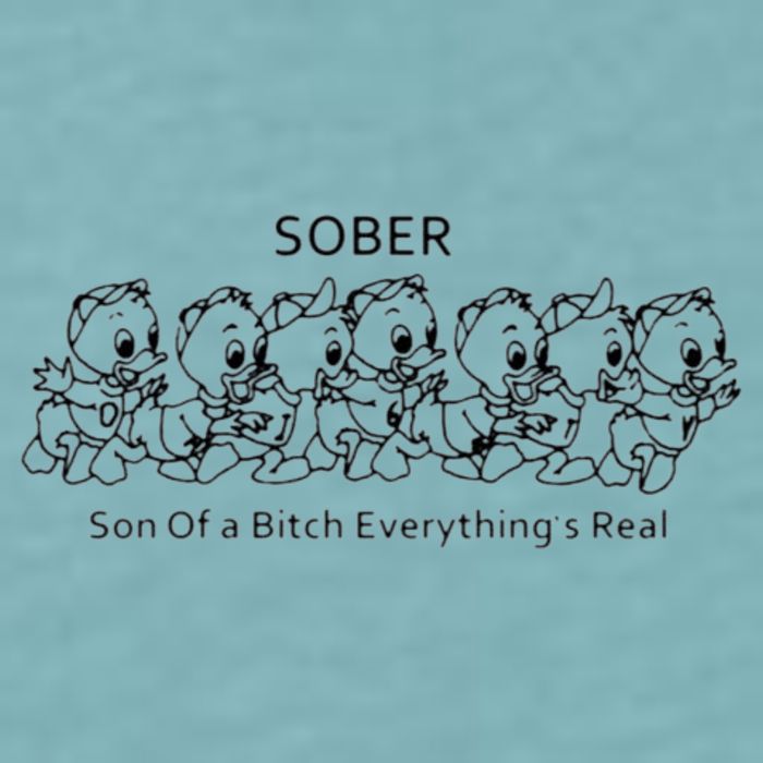 Sober Son Of A Bitch Everything's Real Sueded Cloud Jersey T-Shirt