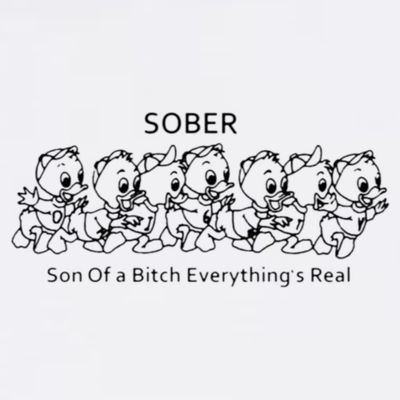 Sober Son Of A Bitch Everything's Real T-Shirt