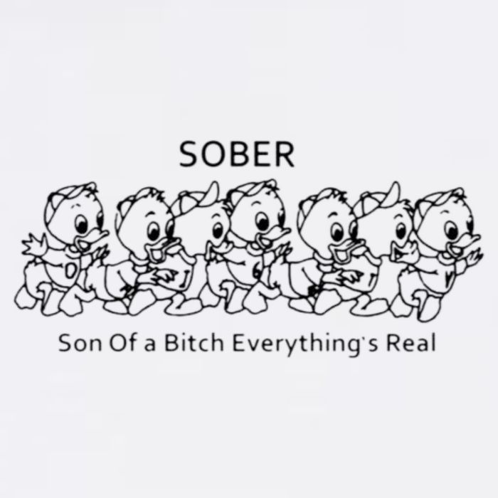 Sober Son Of A Bitch Everything's Real Sustainable Bucket Hat