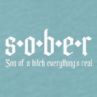 Sober Son Of A Bitch Everythings Real Alcoholics Aa Recovery Sueded Cloud Jersey T-Shirt