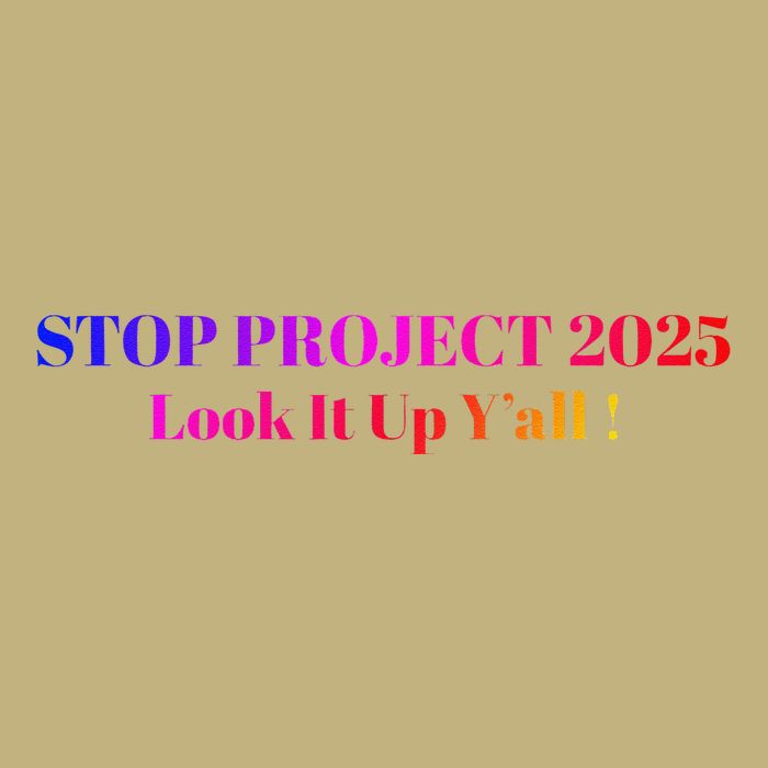 Stop Stop Project 2025 Look It Up Y’All Button