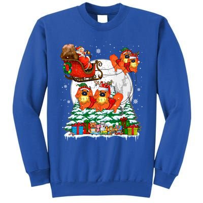 Santa Sleigh Reindeer Pekingeses Xmas Dogs Owner Lover Gift Tall Sweatshirt