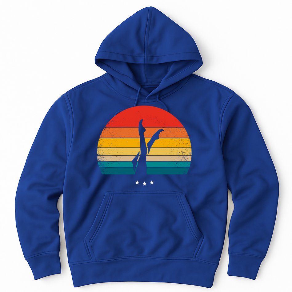 Synchronized Swimming Retro Gift Hoodie