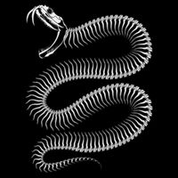 Snake Skeleton Reptile Python Cobra Herpetologist 7-Panel Snapback Hat