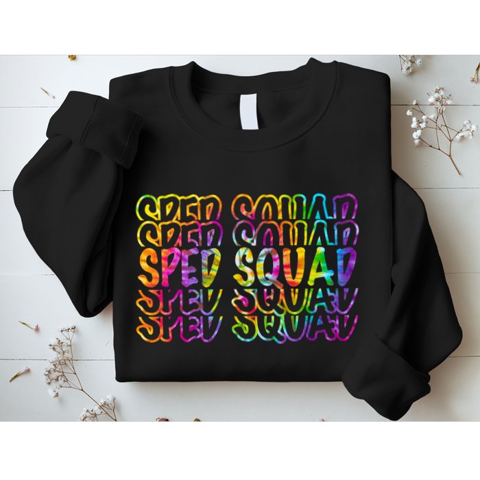 Sped Squad Rainbow Colorful Sweatshirt
