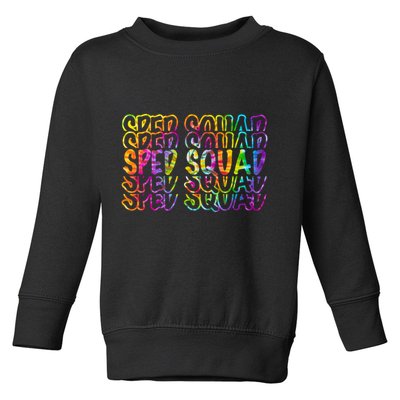 Sped Squad Rainbow Colorful Toddler Sweatshirt