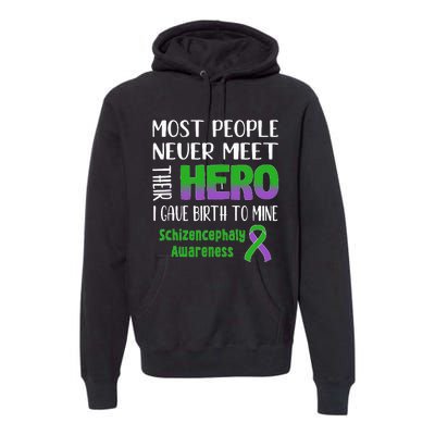 Supporting Schizencephaly Raise Awareness Premium Hoodie