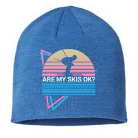 Skiing Ski Retro Are My Skis Ok? Cute Gift Sustainable Beanie