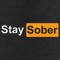 Stay Sober 7 Panel Mesh Trucker Snapback Hat