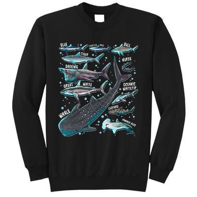 Shark Species Shark Gifts Shark Faces Tee Marine Biology Sweatshirt