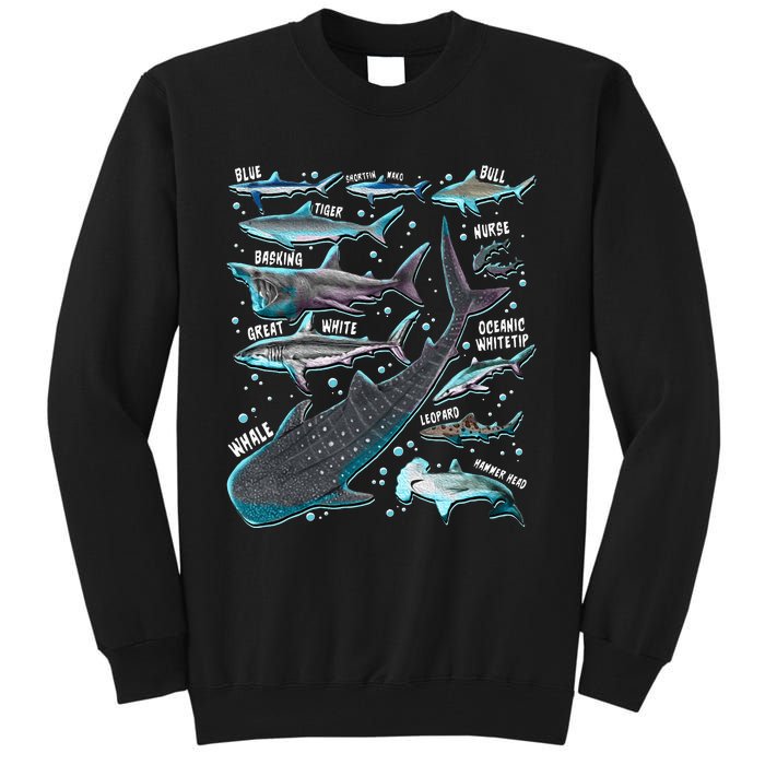 Shark Species Shark Gifts Shark Faces Tee Marine Biology Tall Sweatshirt