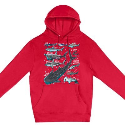 Shark Species Shark Gifts Shark Faces Tee Marine Biology Premium Pullover Hoodie