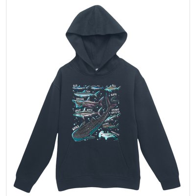 Shark Species Shark Gifts Shark Faces Tee Marine Biology Urban Pullover Hoodie