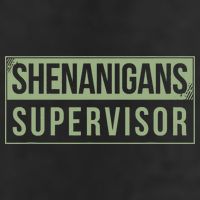 Shenanigans Supervisor Adult Drive Performance Visor
