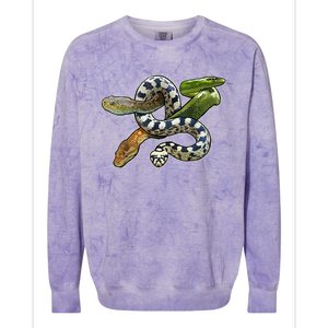 Snakes Snake Species Herpetology Colorblast Crewneck Sweatshirt