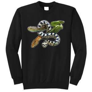 Snakes Snake Species Herpetology Sweatshirt