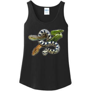 Snakes Snake Species Herpetology Ladies Essential Tank