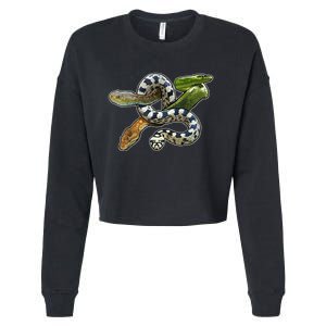 Snakes Snake Species Herpetology Cropped Pullover Crew