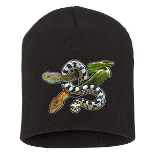 Snakes Snake Species Herpetology Short Acrylic Beanie