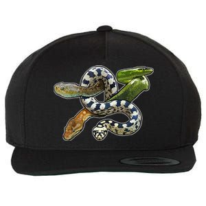 Snakes Snake Species Herpetology Wool Snapback Cap