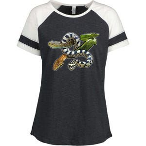 Snakes Snake Species Herpetology Enza Ladies Jersey Colorblock Tee