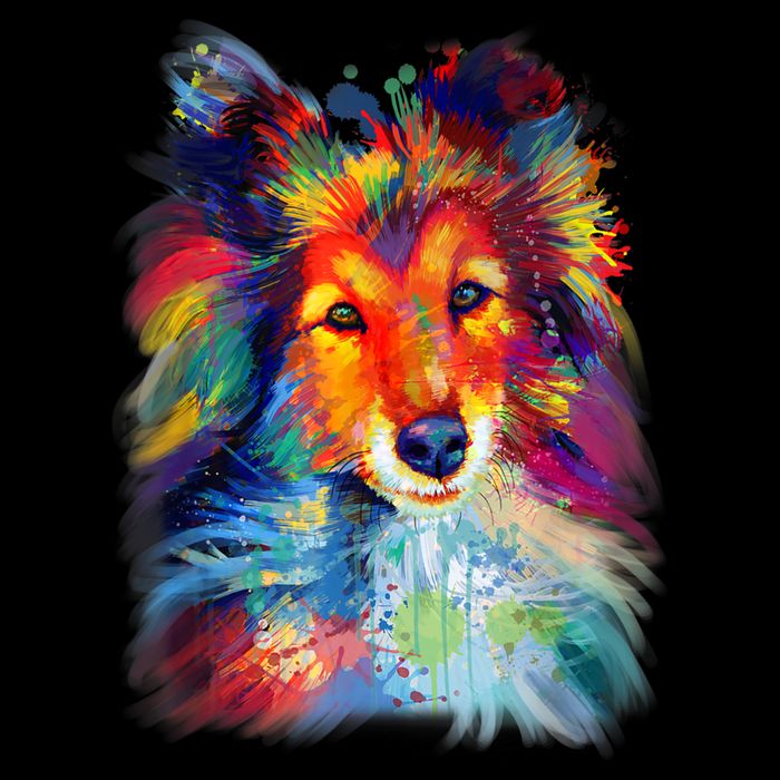 Sheltie Shetland Sheepdog For A Sheltie Mom Kids T-Shirt