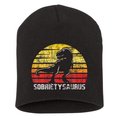 Sobrietysaurus Sober Sobriety Anniversary Recovery Aa Na Short Acrylic Beanie