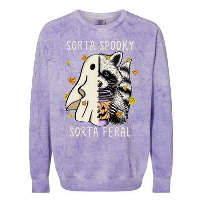 Sorta Spooky Sorta Feral Raccoon Halloween Feral Colorblast Crewneck Sweatshirt