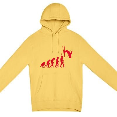 Skiing Skiing Skiers Winter Sports Evolution Gift Premium Pullover Hoodie