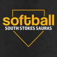 South Stokes Sauras Softball Home Plate Adult Drive Performance Visor